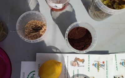 Atelier cosmétique naturel – 8 avril 2023